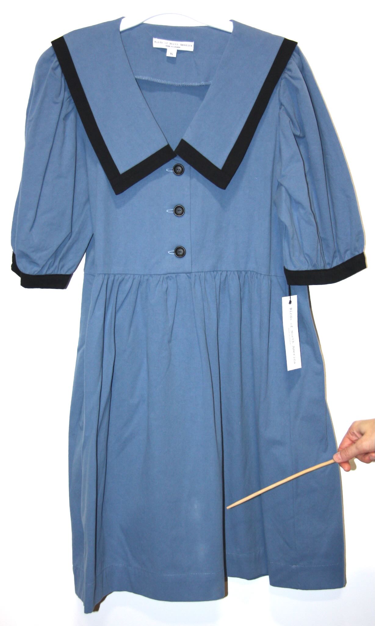 SS766 - XL - Fulvetta - Cornflower