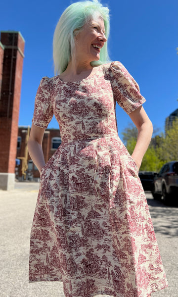 Winter Chippy Dress - Brick Village Toile