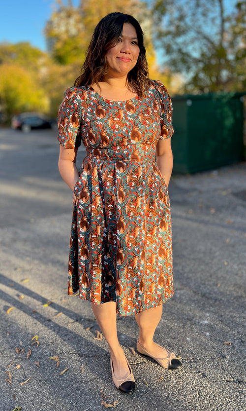 Winter Chippy Dress - Hare Berry Birds of North America Winter Chippy Dress - Hare Berry Birds of North America